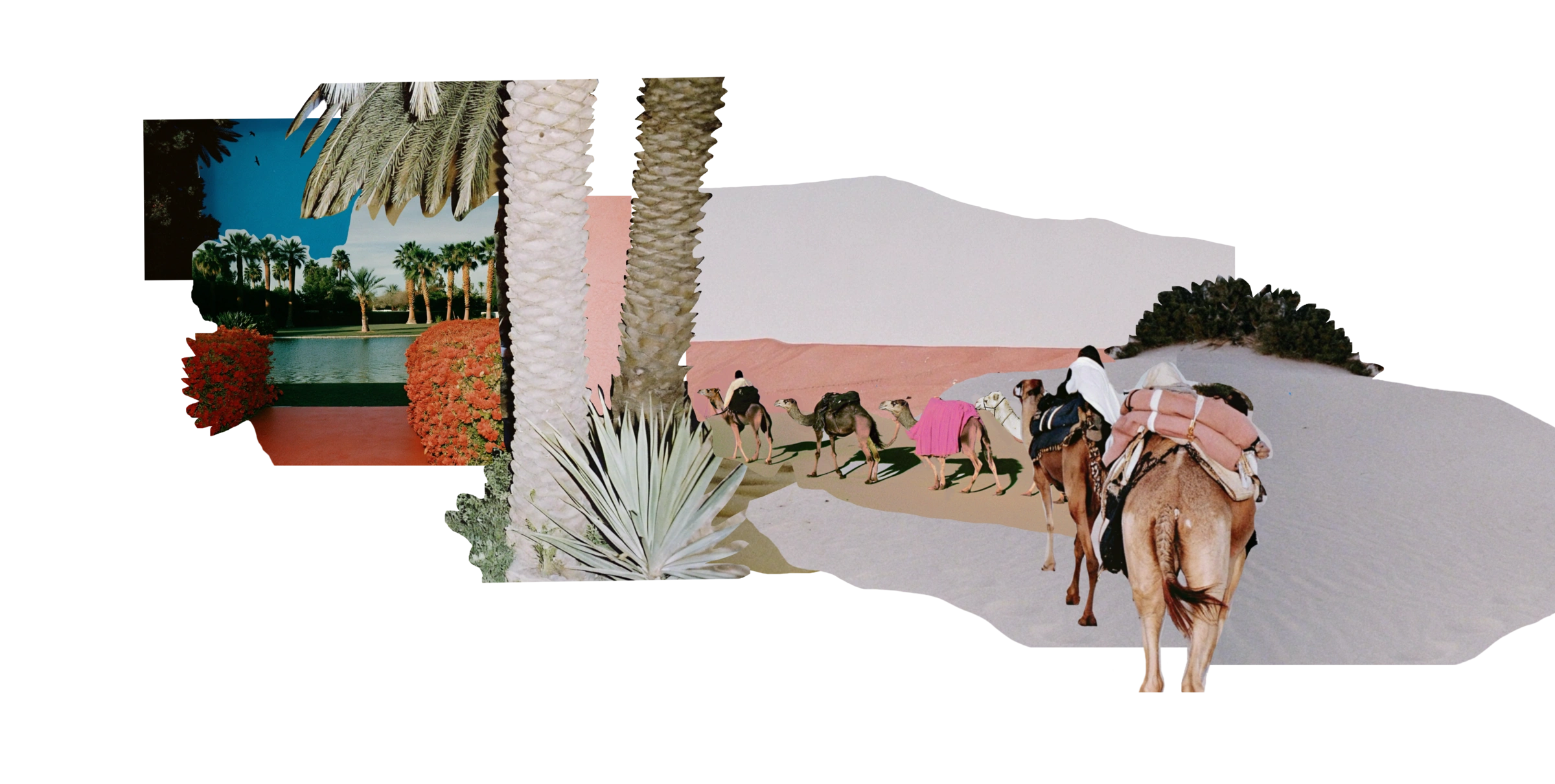 Collage einer Wüstenlandschaft mit Palmen, rotem und rosa Wand und Kamelkarawane laufen zum Teich.